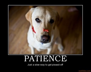 patience-3.jpg